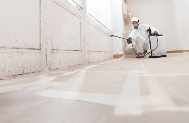 24/7 Emergency Mold Removal experts in New Providence, PA